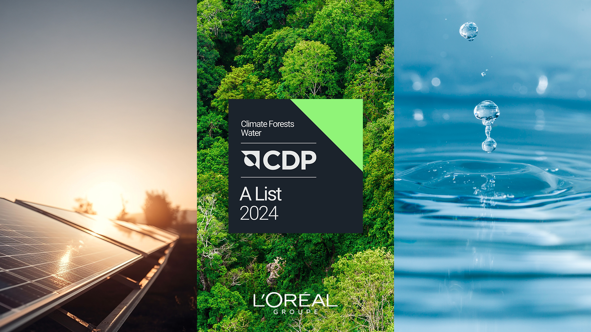 L'OREAL_CDP_TRIPLE A
