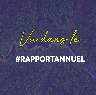 Vue dans le rapport annuel