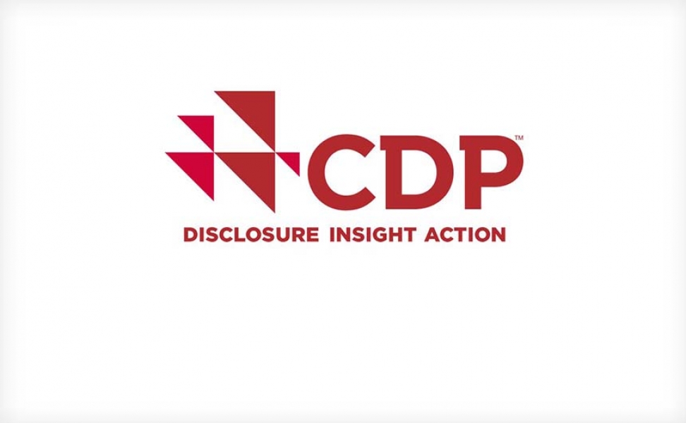 CDP logo CDP logo