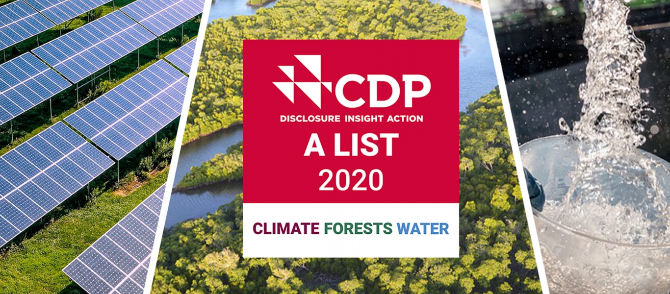 CDP Climate Forest Water