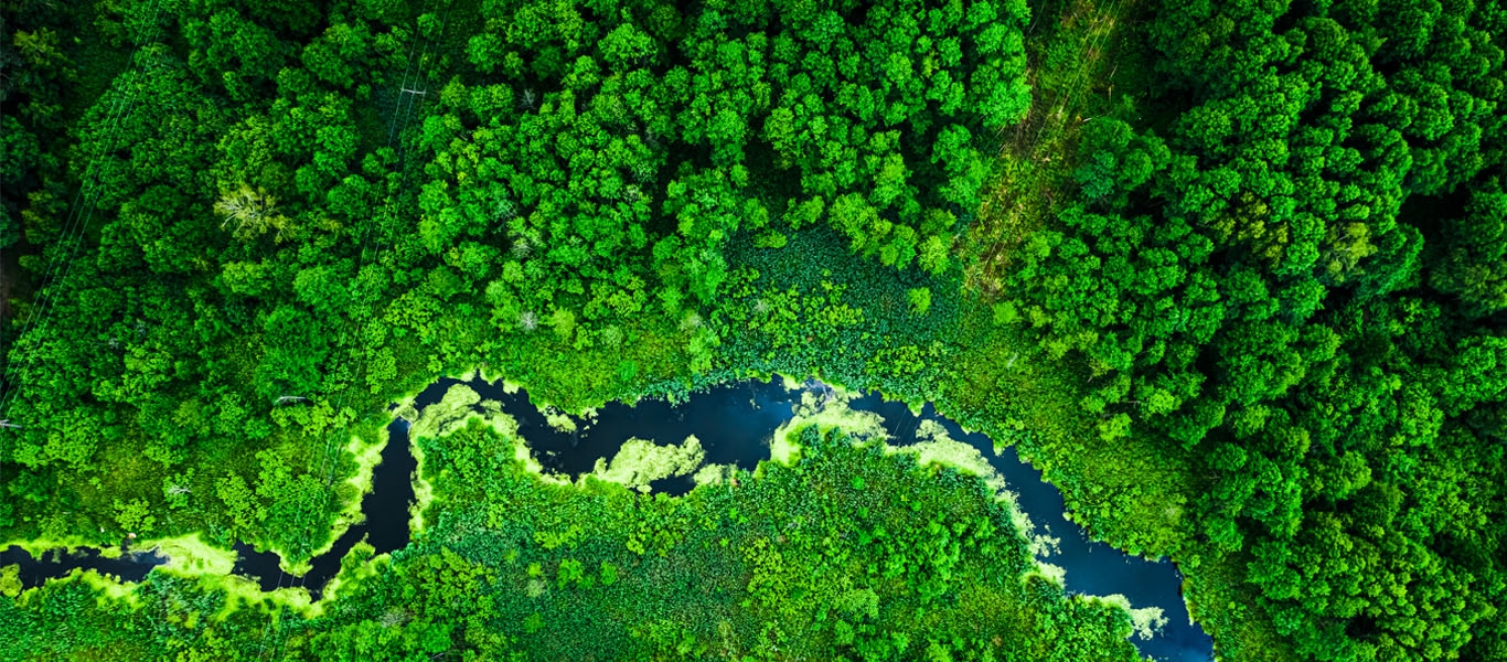 Vue aérienne sur une rivière dans une forêt.