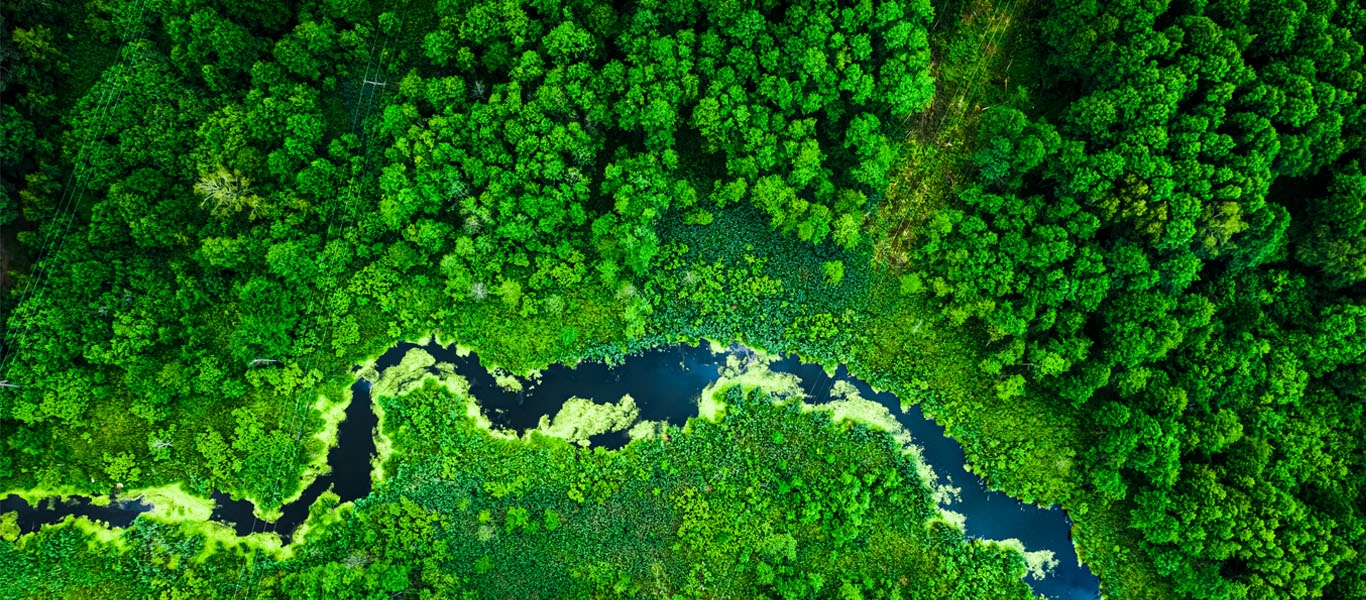 Aerial view on a river in a forest. Aerial view on a river in a forest.