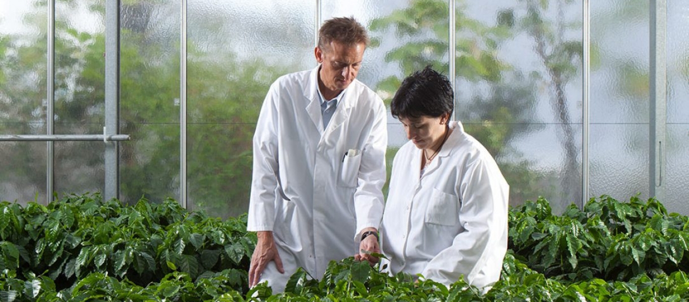 Scientists in a biological laboratory