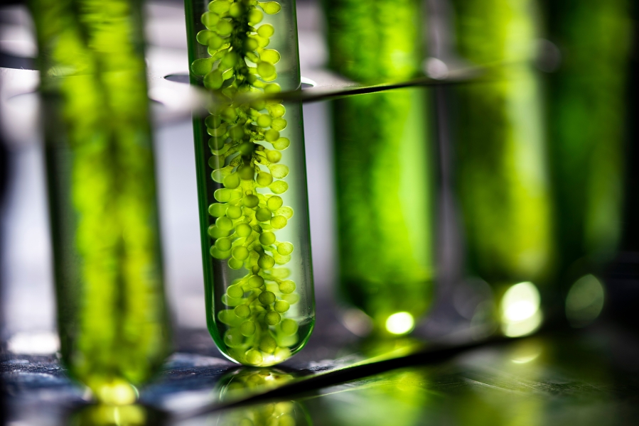 Photo green science Photo green science