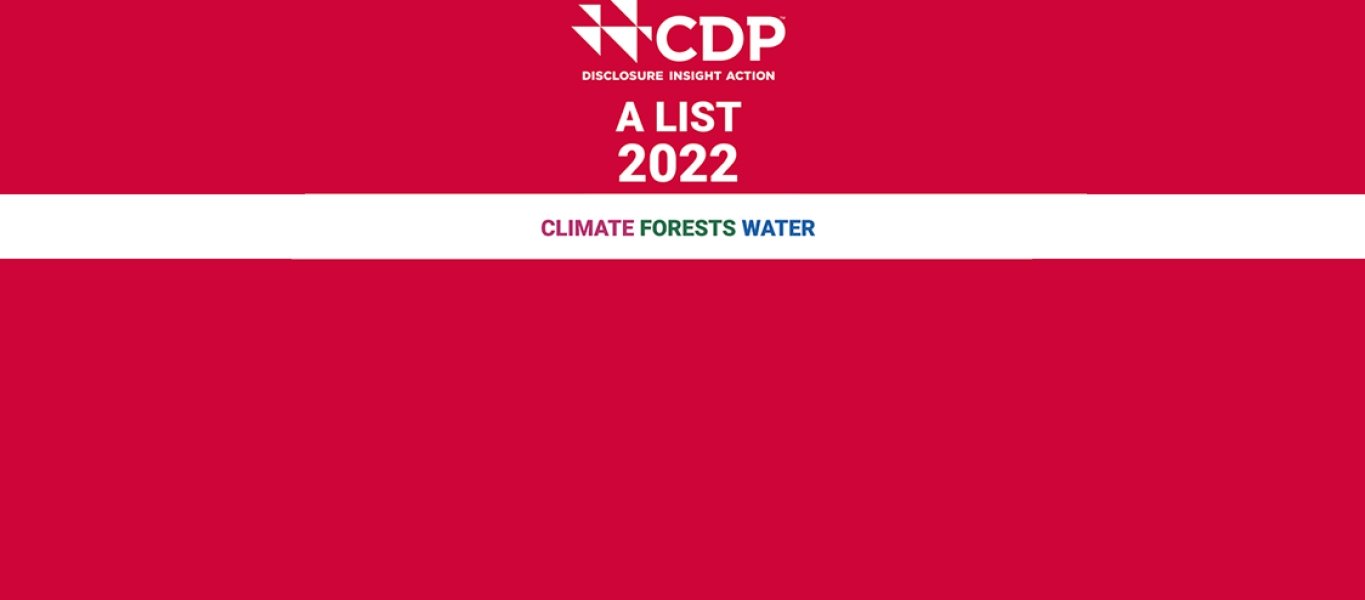 CDP logo 2022 