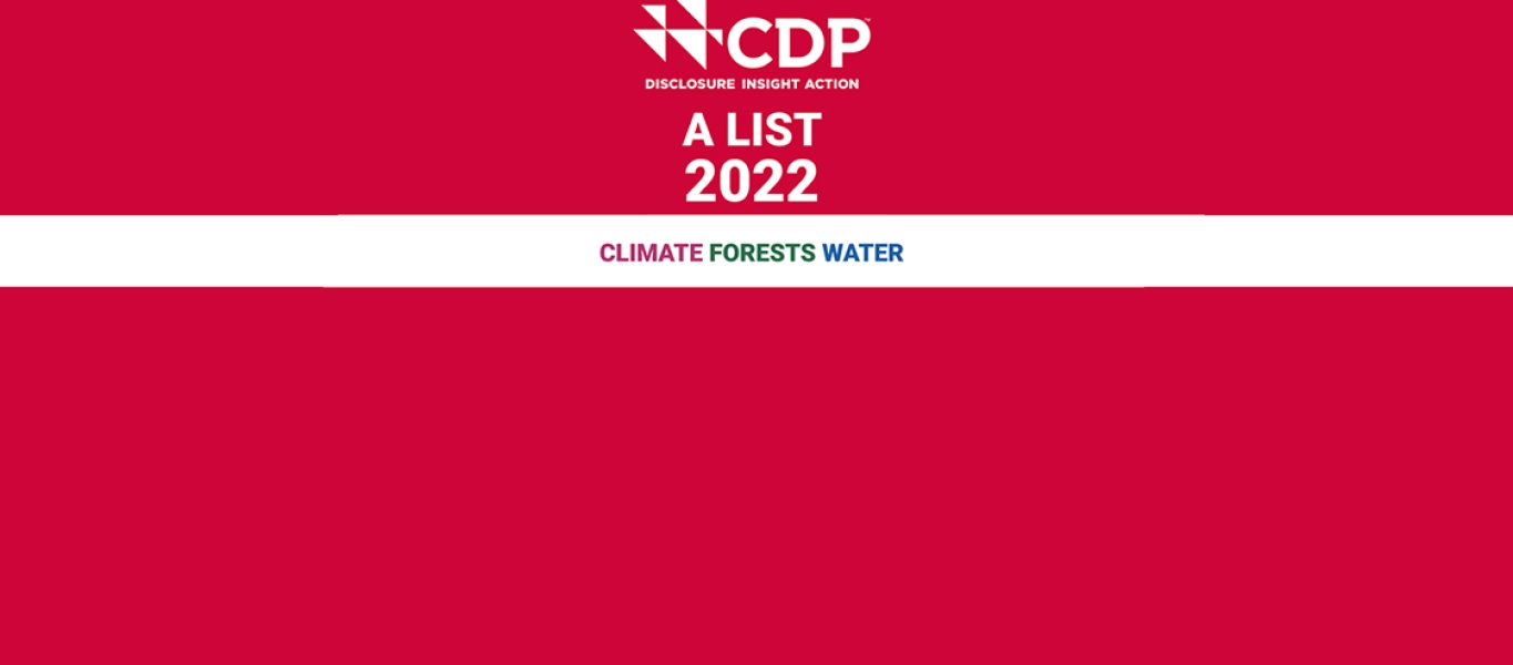 CDP logo 2022 CDP logo 2022