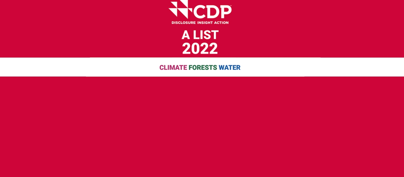 CDP logo 2022 CDP logo 2022