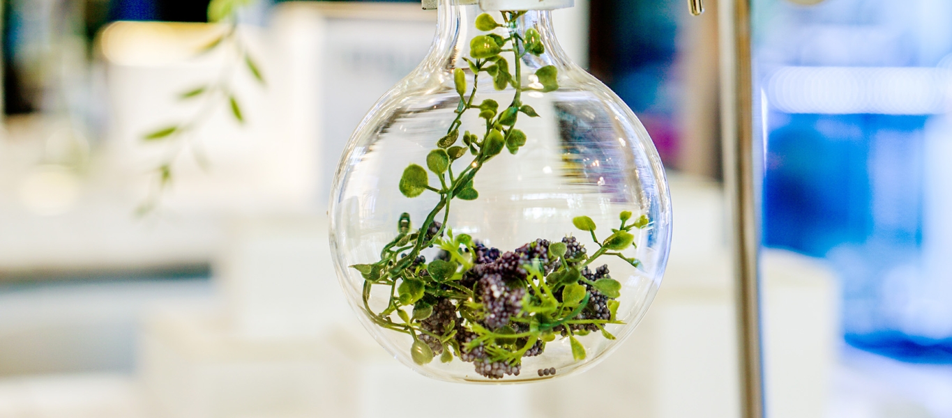 Green Sciences Green Sciences