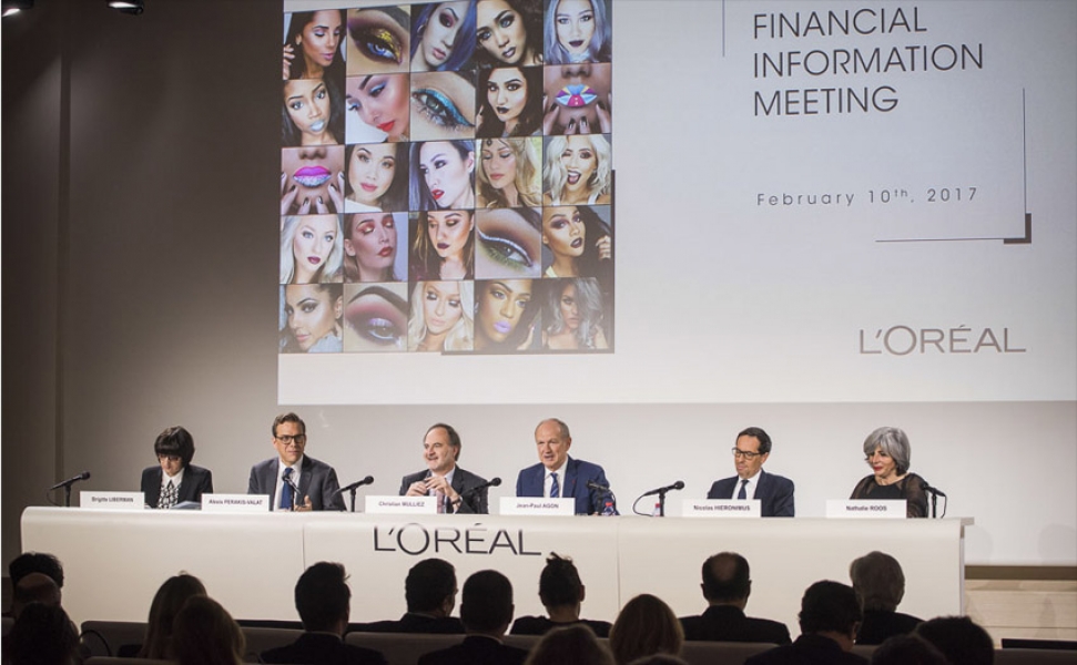 Presentation of the 2016 Annual Results