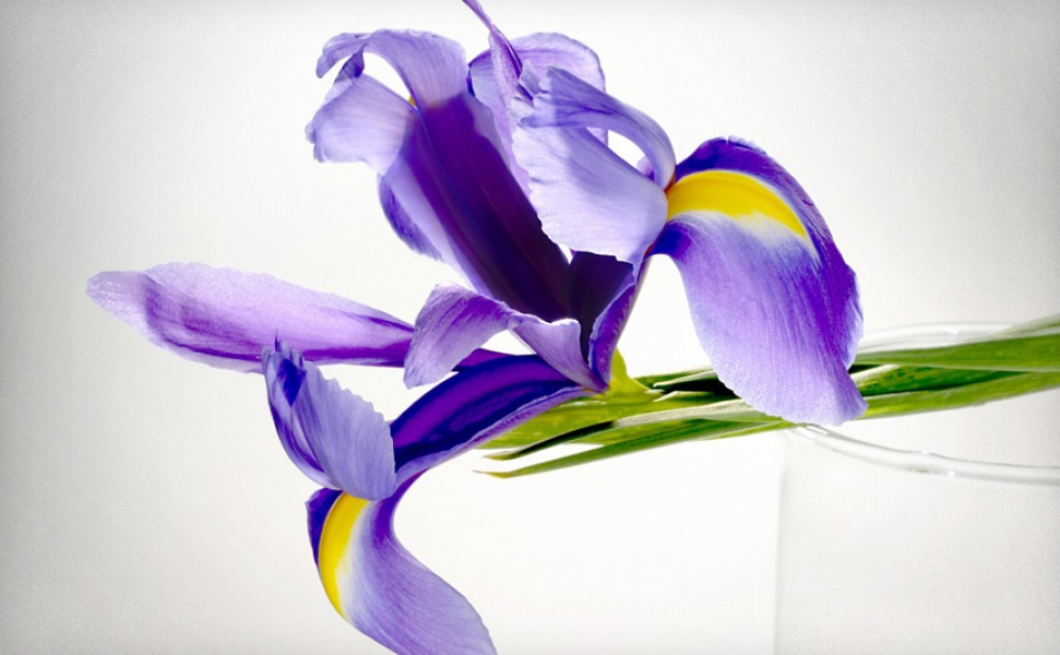 L'Oréal Finance - Sharing Beauty With All