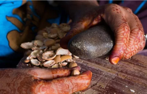 Argan - Afrique
