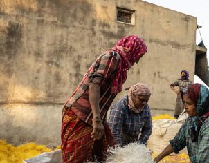 L'Oréal Climate Emergency Fund, Bhavnagar, Gujarat, India - Copyright L'Oréal