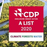CDP Climate Forest Water
