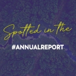 Spotted in the annual report