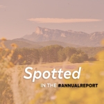 Spotted on the Annual Report Logo 2022 - QUIZ