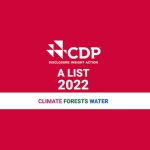 CDP logo 2022 
