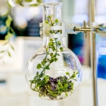 Green Sciences