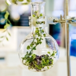 Green Sciences