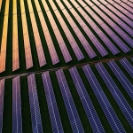 Panneaux solaires_L'Oréal